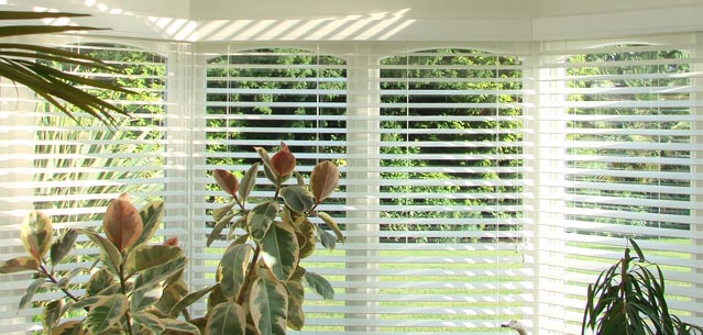 Suffolk Shutters: window shutters for windows.